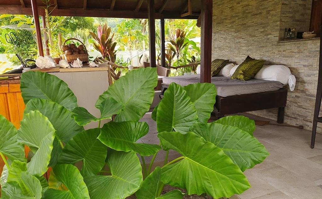 L'Oasi Guest House Baie Lazare  Экстерьер фото