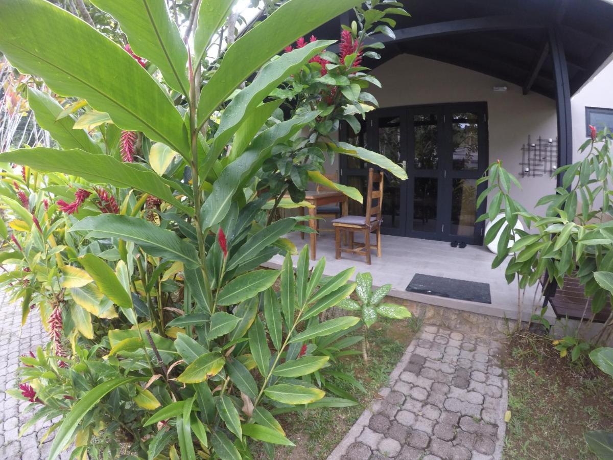 L'Oasi Guest House Baie Lazare  Экстерьер фото